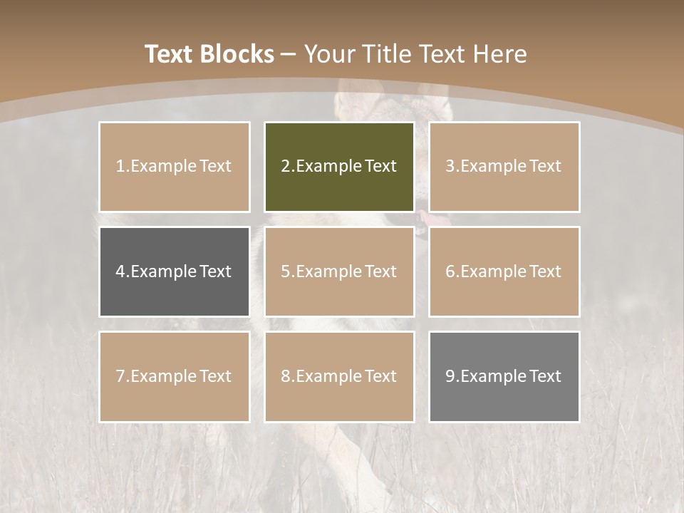 A Dog Is Running Through The Snow In A Field PowerPoint Template