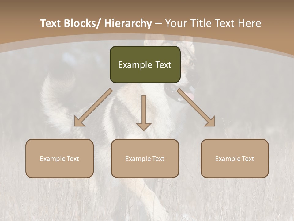 A Dog Is Running Through The Snow In A Field PowerPoint Template