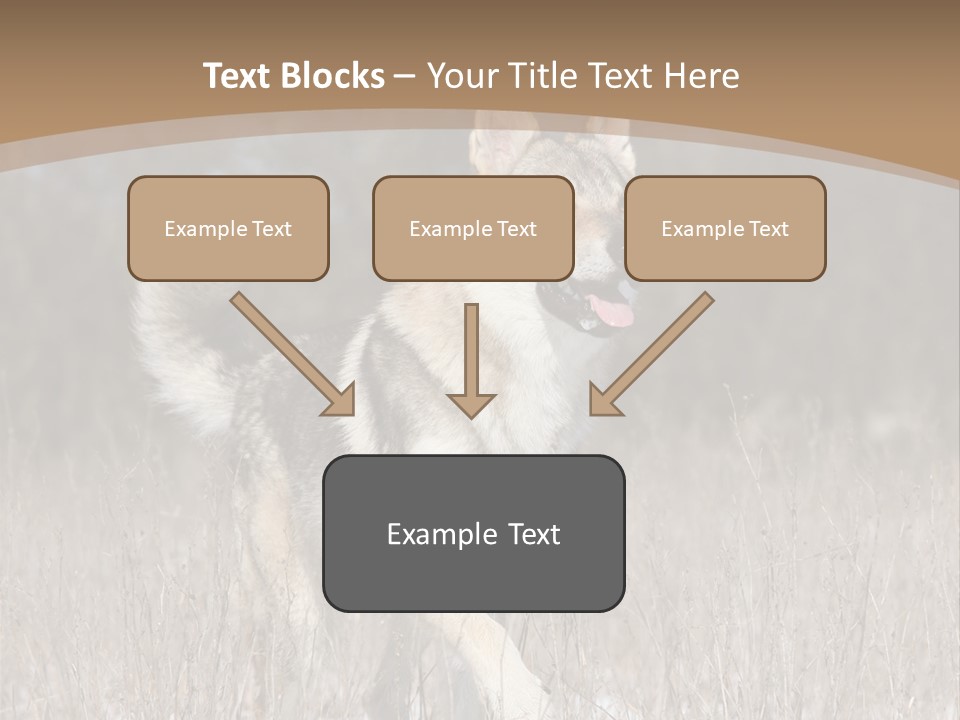 A Dog Is Running Through The Snow In A Field PowerPoint Template