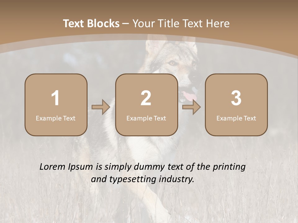 A Dog Is Running Through The Snow In A Field PowerPoint Template