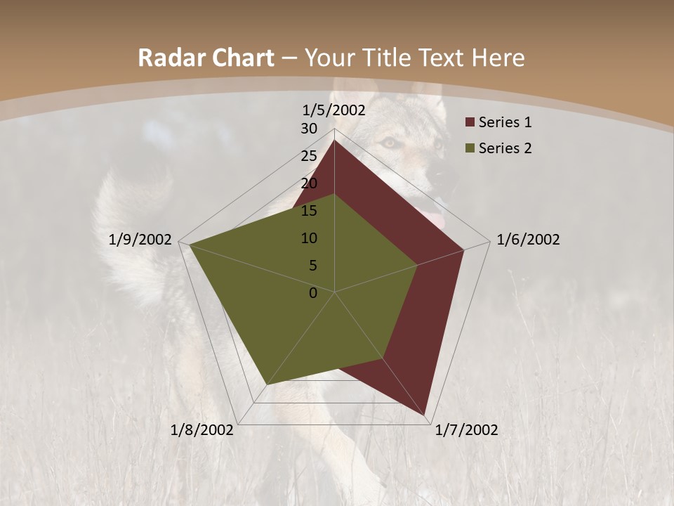 A Dog Is Running Through The Snow In A Field PowerPoint Template