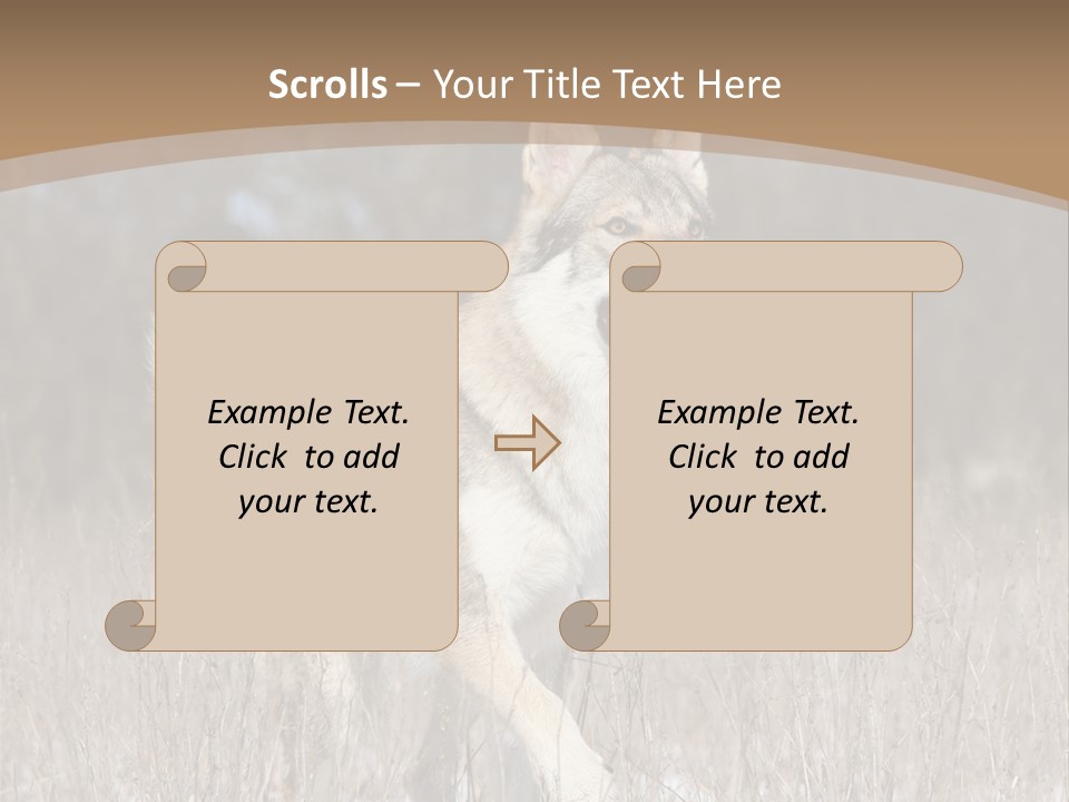 A Dog Is Running Through The Snow In A Field PowerPoint Template