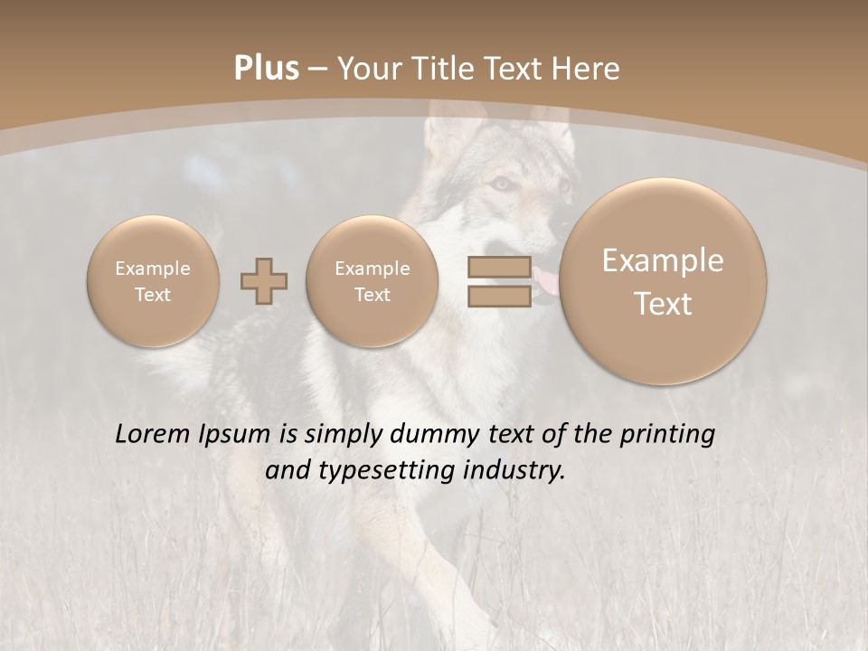 A Dog Is Running Through The Snow In A Field PowerPoint Template