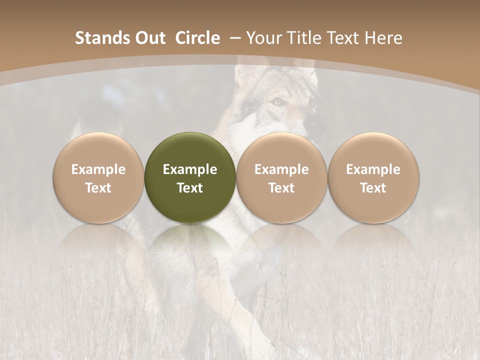 A Dog Is Running Through The Snow In A Field PowerPoint Template