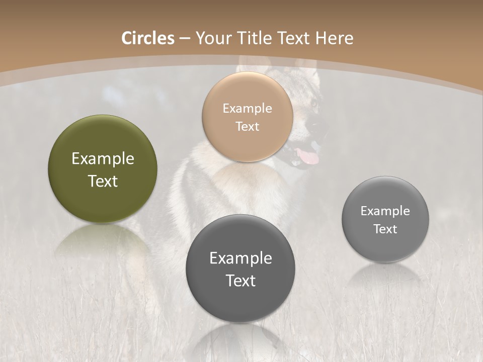 A Dog Is Running Through The Snow In A Field PowerPoint Template