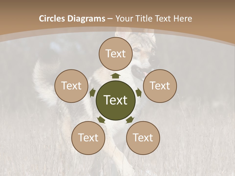 A Dog Is Running Through The Snow In A Field PowerPoint Template