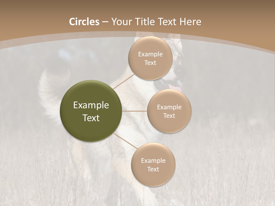 A Dog Is Running Through The Snow In A Field PowerPoint Template