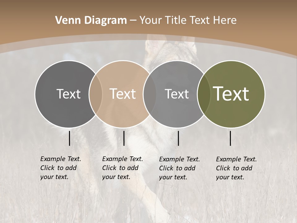 A Dog Is Running Through The Snow In A Field PowerPoint Template