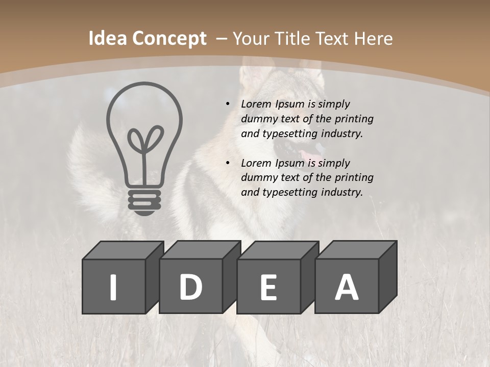 A Dog Is Running Through The Snow In A Field PowerPoint Template