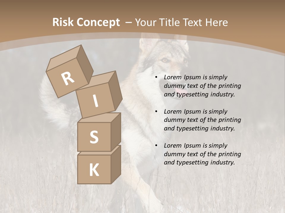 A Dog Is Running Through The Snow In A Field PowerPoint Template