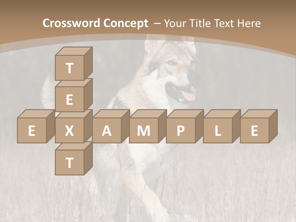 A Dog Is Running Through The Snow In A Field PowerPoint Template