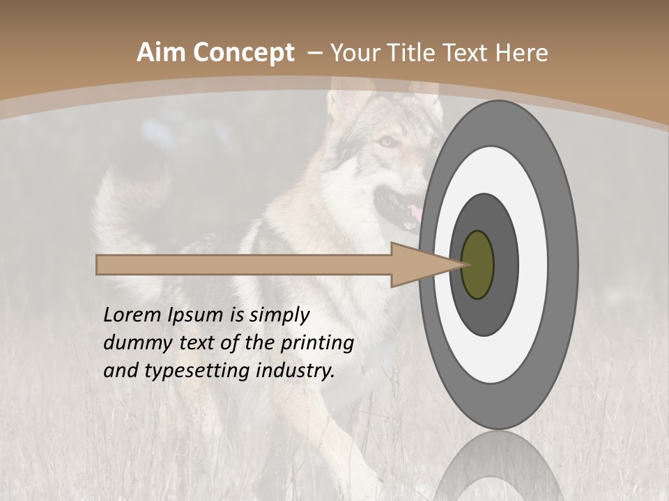 A Dog Is Running Through The Snow In A Field PowerPoint Template