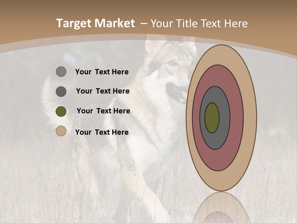 A Dog Is Running Through The Snow In A Field PowerPoint Template