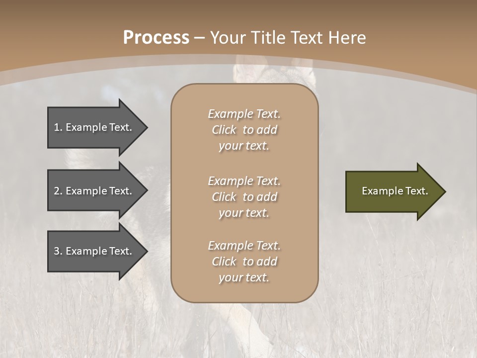 A Dog Is Running Through The Snow In A Field PowerPoint Template
