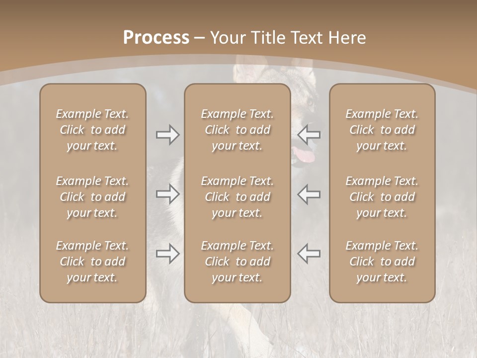 A Dog Is Running Through The Snow In A Field PowerPoint Template