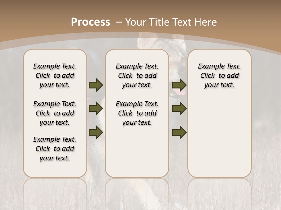 A Dog Is Running Through The Snow In A Field PowerPoint Template