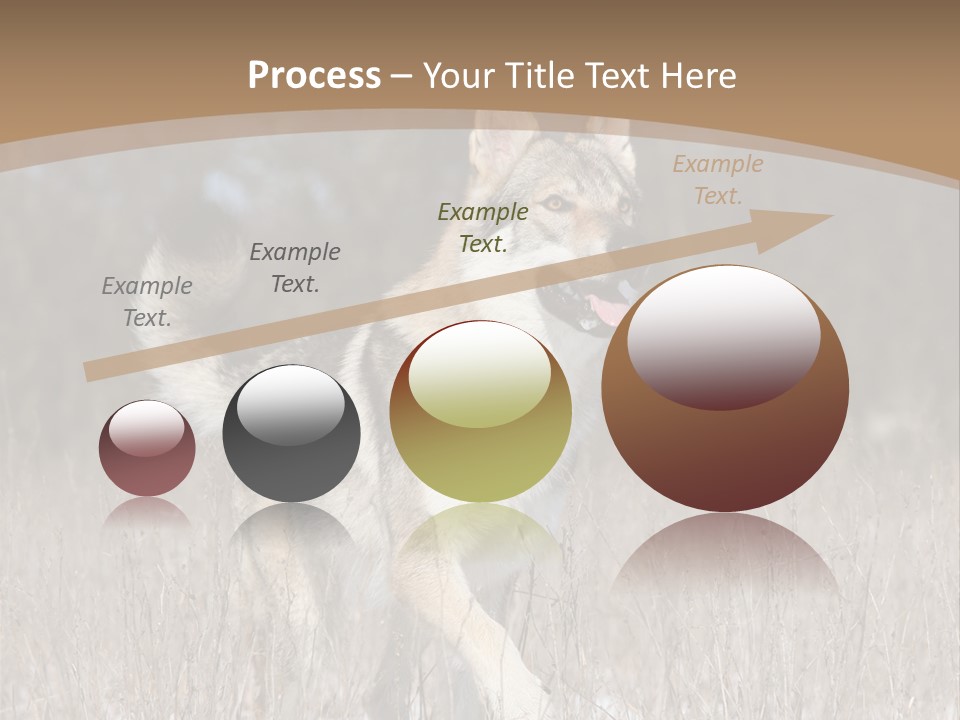 A Dog Is Running Through The Snow In A Field PowerPoint Template