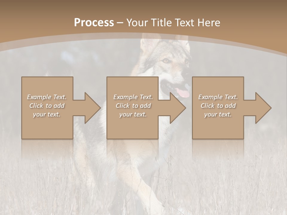 A Dog Is Running Through The Snow In A Field PowerPoint Template