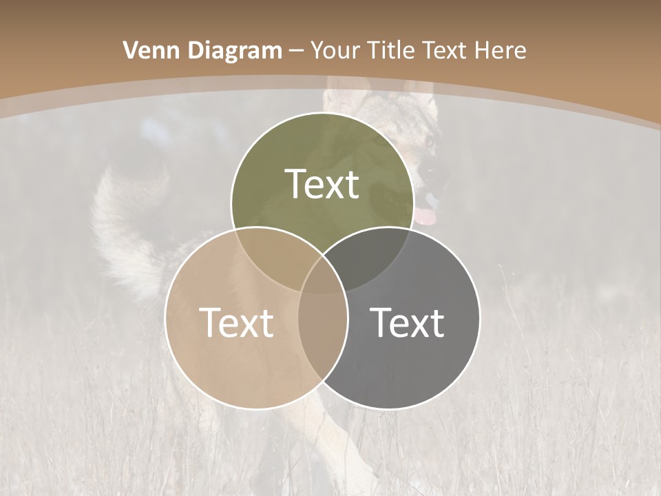 A Dog Is Running Through The Snow In A Field PowerPoint Template