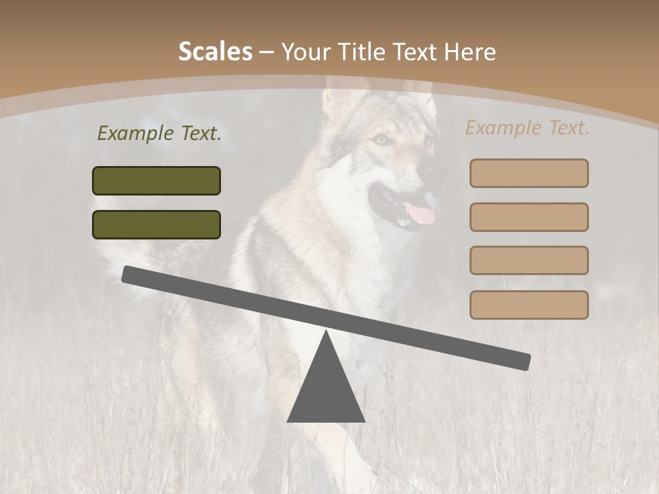 A Dog Is Running Through The Snow In A Field PowerPoint Template