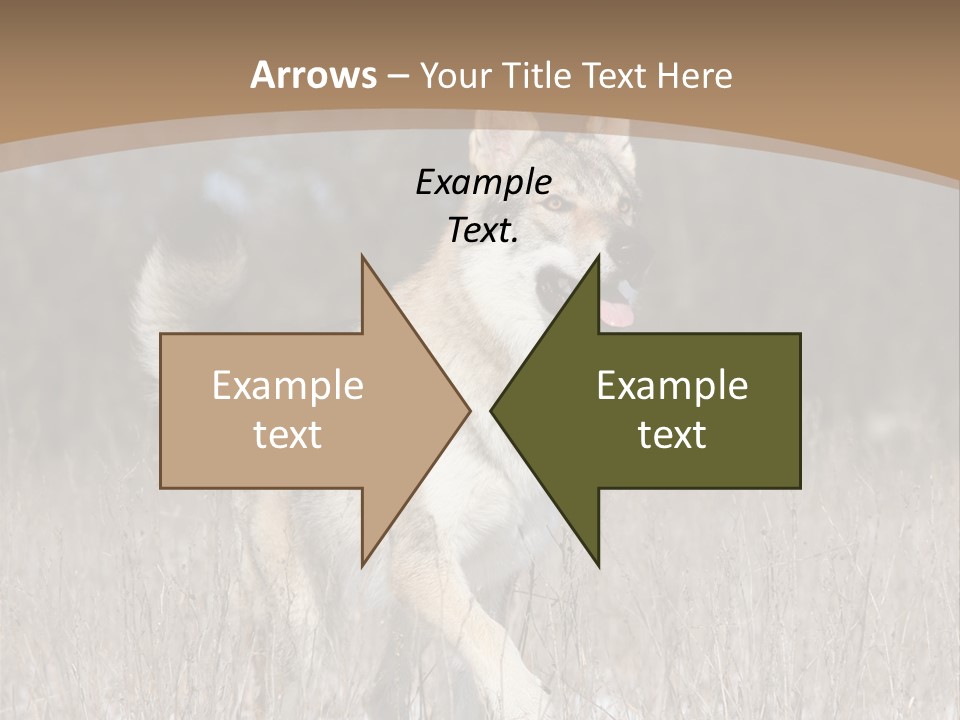 A Dog Is Running Through The Snow In A Field PowerPoint Template