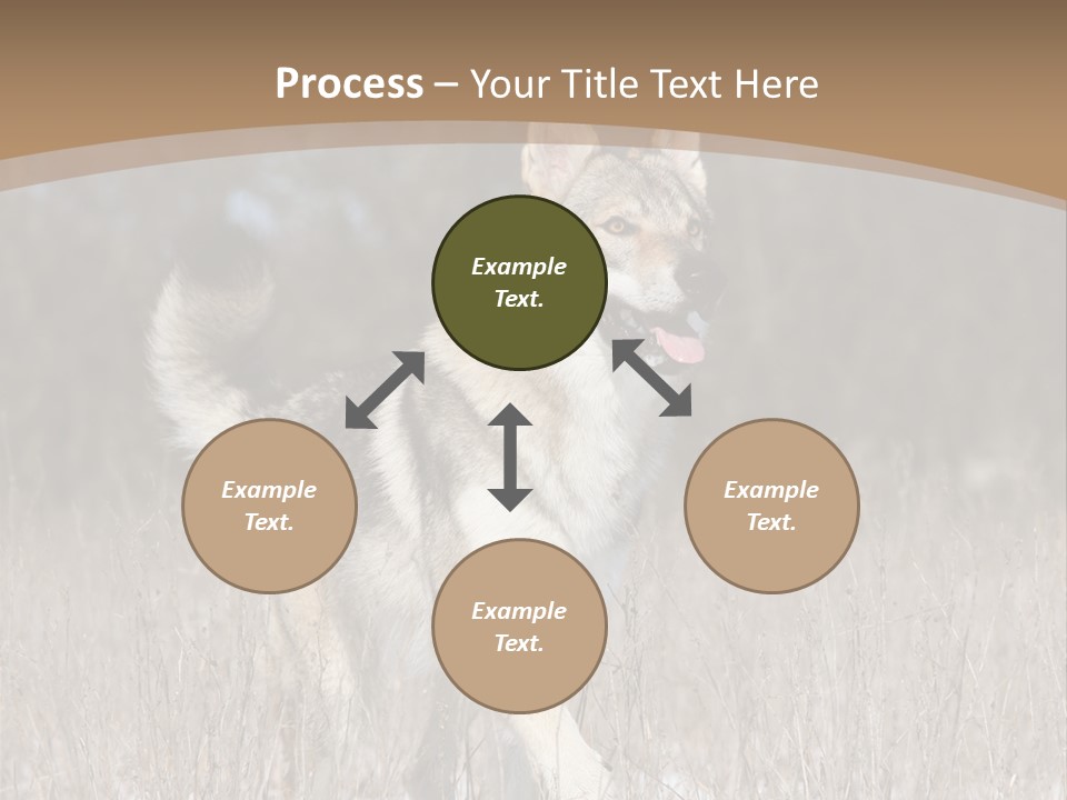 A Dog Is Running Through The Snow In A Field PowerPoint Template