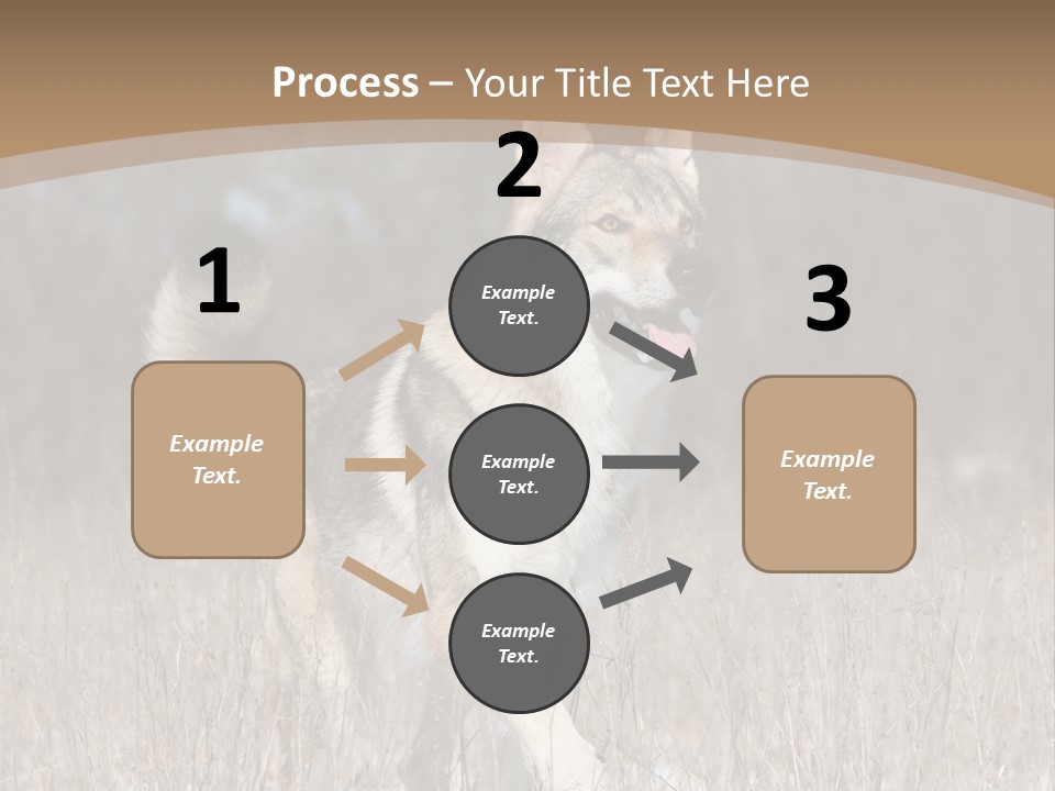 A Dog Is Running Through The Snow In A Field PowerPoint Template