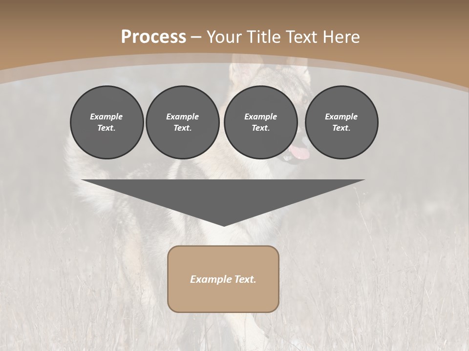 A Dog Is Running Through The Snow In A Field PowerPoint Template