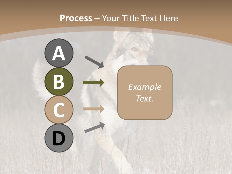 A Dog Is Running Through The Snow In A Field PowerPoint Template