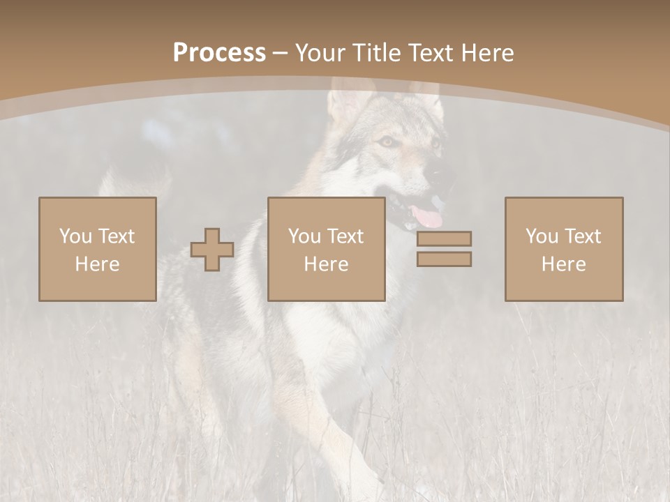 A Dog Is Running Through The Snow In A Field PowerPoint Template