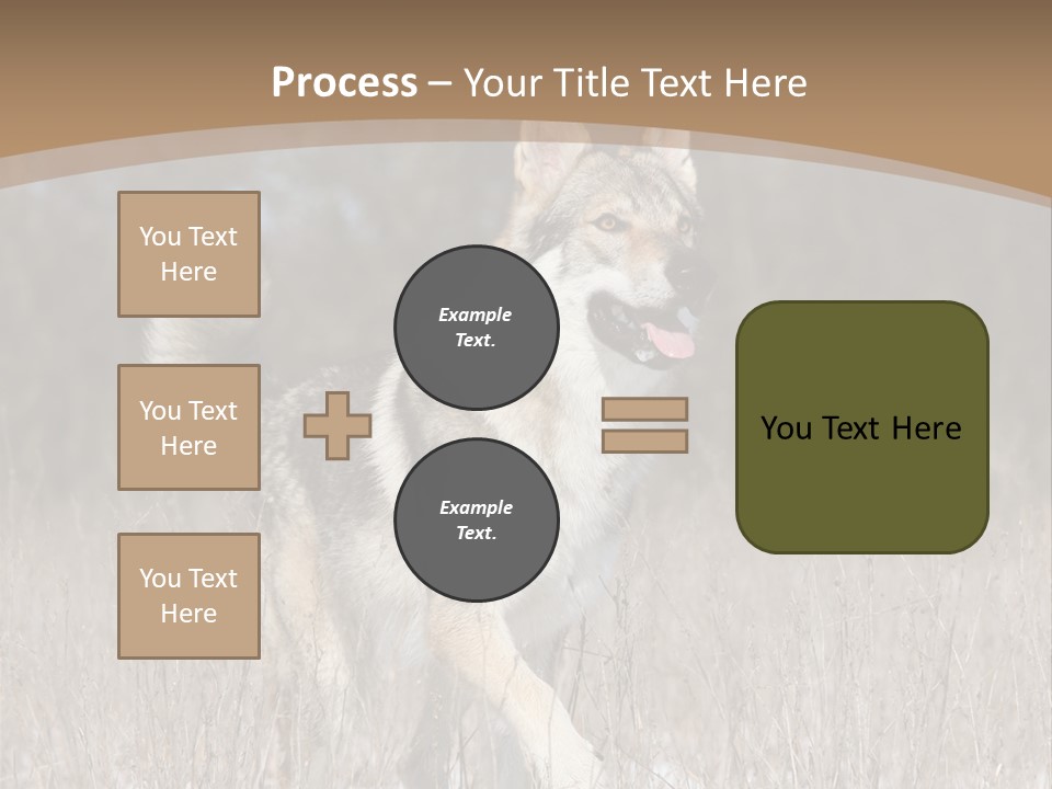 A Dog Is Running Through The Snow In A Field PowerPoint Template