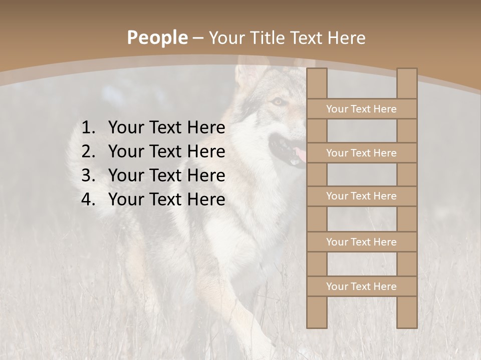 A Dog Is Running Through The Snow In A Field PowerPoint Template