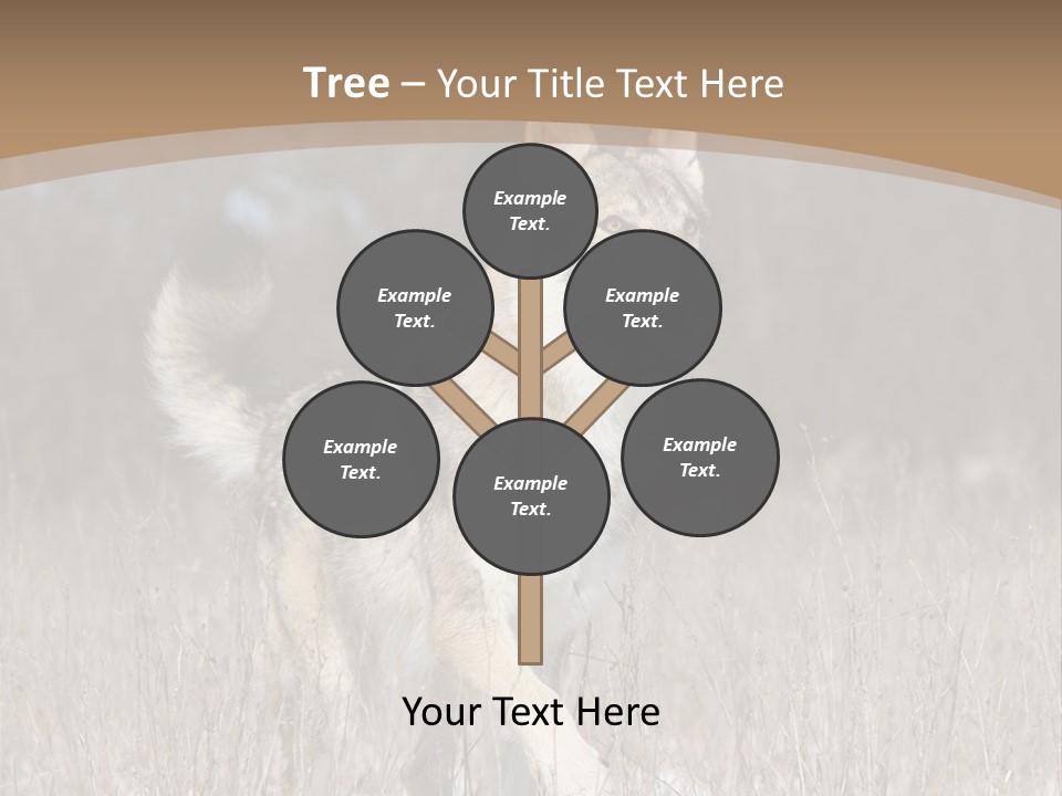 A Dog Is Running Through The Snow In A Field PowerPoint Template