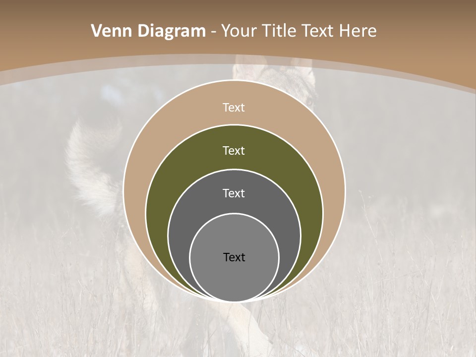 A Dog Is Running Through The Snow In A Field PowerPoint Template