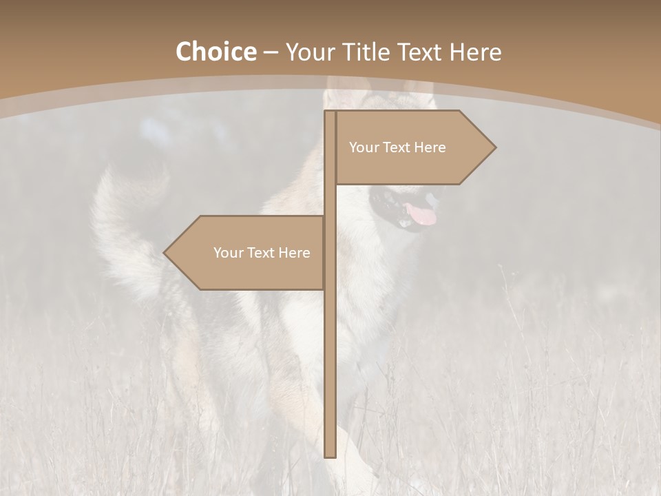 A Dog Is Running Through The Snow In A Field PowerPoint Template