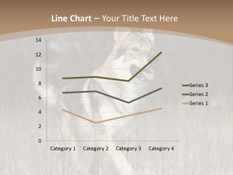 A Dog Is Running Through The Snow In A Field PowerPoint Template