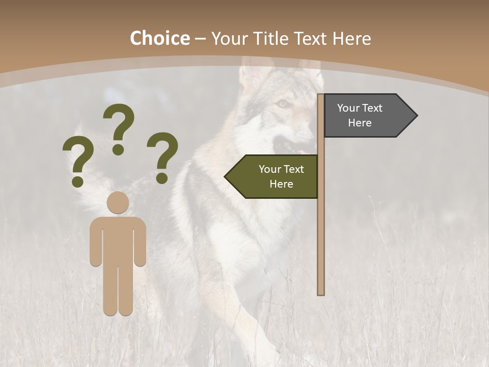 A Dog Is Running Through The Snow In A Field PowerPoint Template