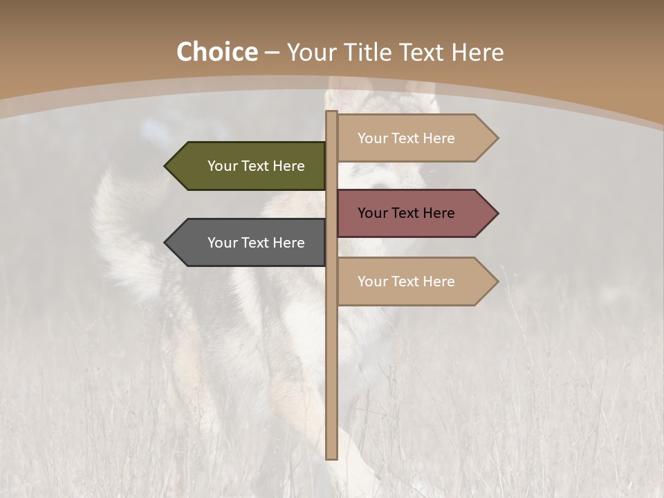 A Dog Is Running Through The Snow In A Field PowerPoint Template