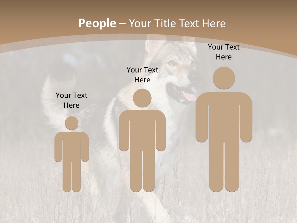A Dog Is Running Through The Snow In A Field PowerPoint Template