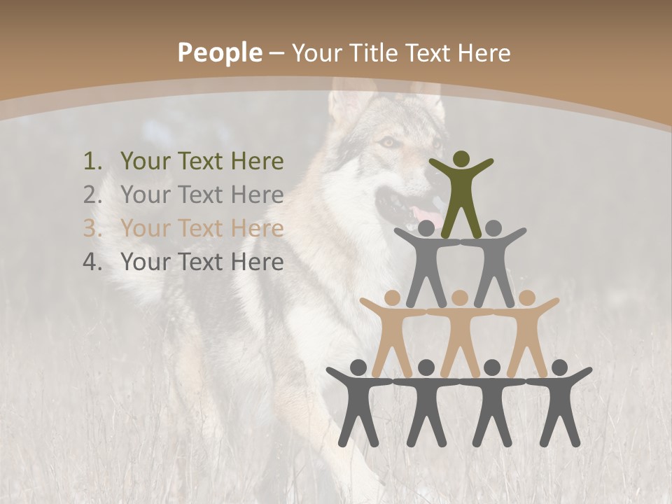 A Dog Is Running Through The Snow In A Field PowerPoint Template