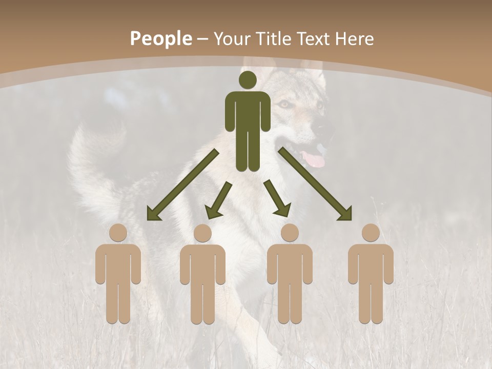 A Dog Is Running Through The Snow In A Field PowerPoint Template