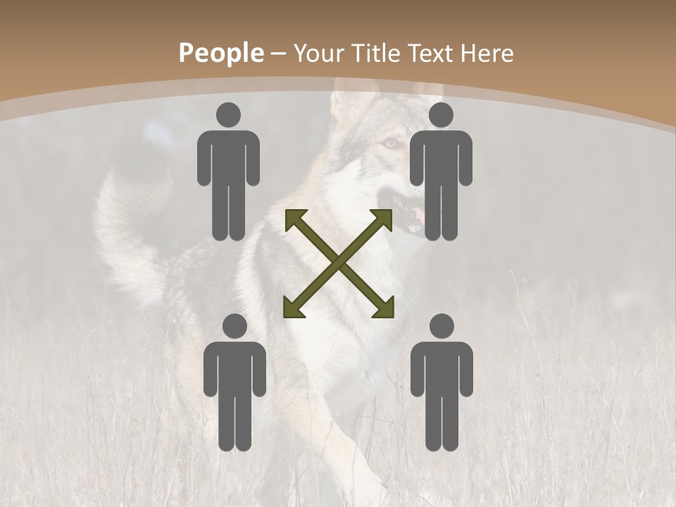 A Dog Is Running Through The Snow In A Field PowerPoint Template