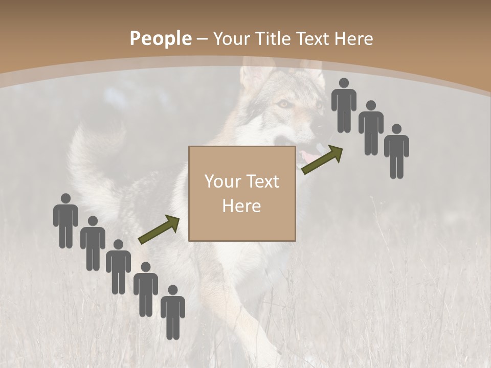 A Dog Is Running Through The Snow In A Field PowerPoint Template