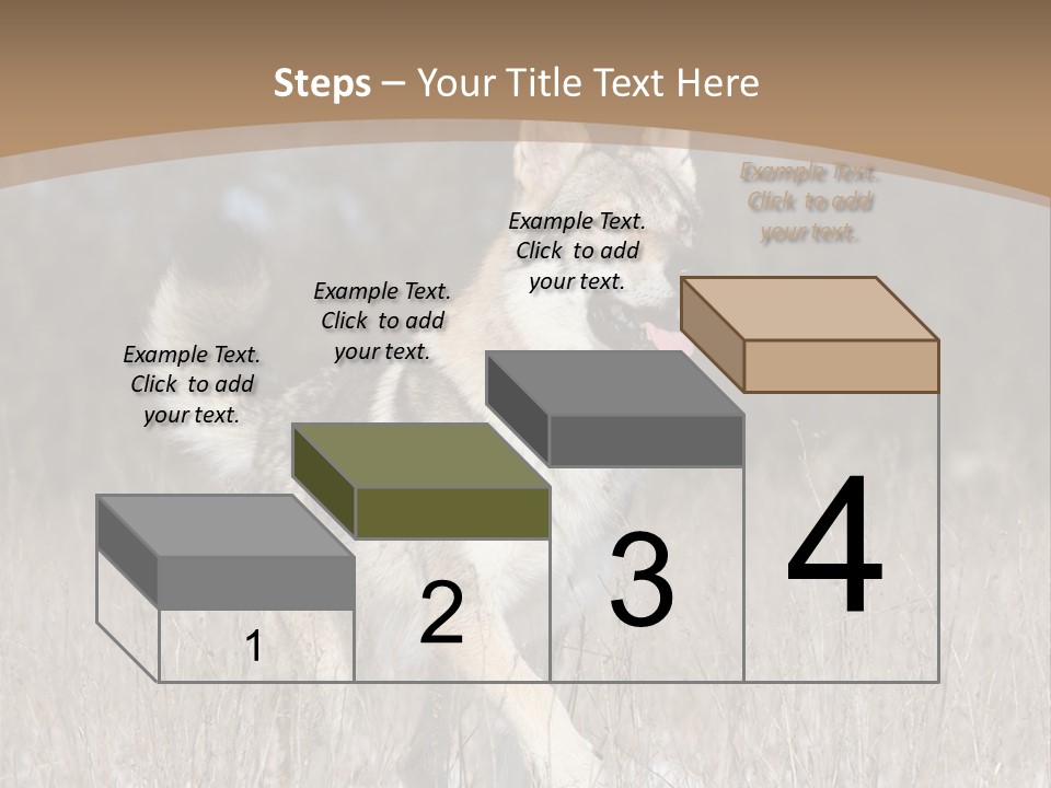 A Dog Is Running Through The Snow In A Field PowerPoint Template