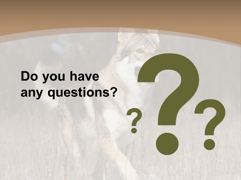 A Dog Is Running Through The Snow In A Field PowerPoint Template