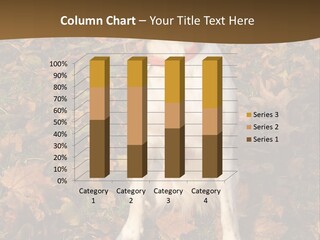 A Brown And White Dog Sitting On Top Of A Pile Of Leaves PowerPoint Template