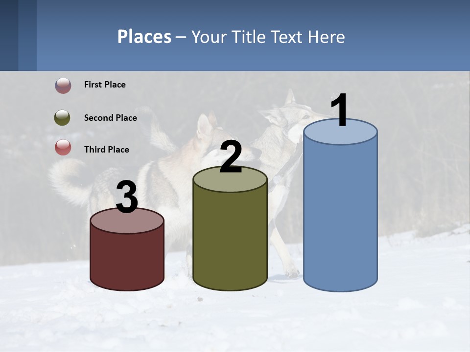 A Couple Of Dogs That Are In The Snow PowerPoint Template