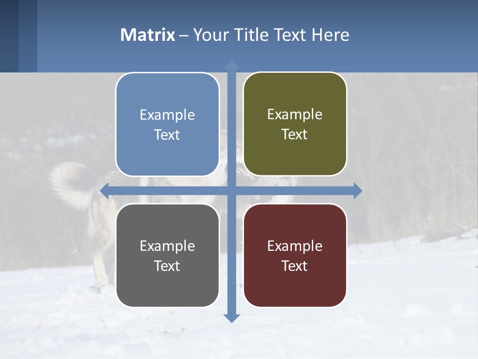 A Couple Of Dogs That Are In The Snow PowerPoint Template