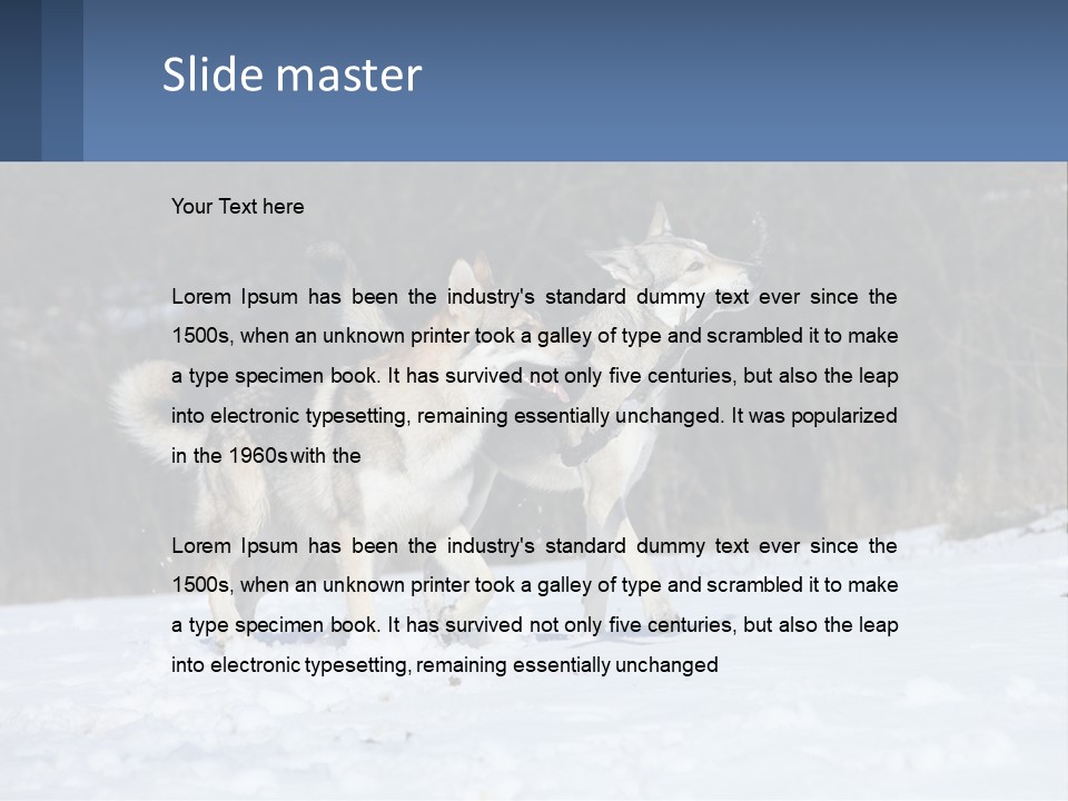 A Couple Of Dogs That Are In The Snow PowerPoint Template