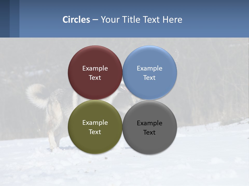 A Couple Of Dogs That Are In The Snow PowerPoint Template